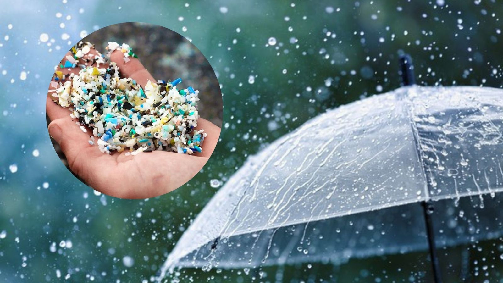 Mikroplastik dalam Air Hujan: Menguak Bahaya Tak Kasat Mata dan Solusi Melindunginya