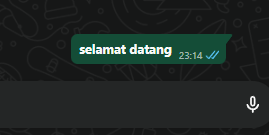 Cara Bikin Tulisan Unik di WhatsApp – Chat Makin Seru & Profesional