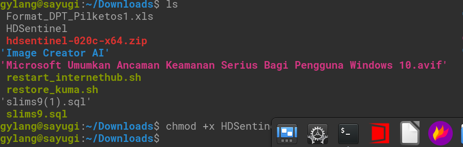 Perintah chmod +x HDSentinel di Terminal Linux