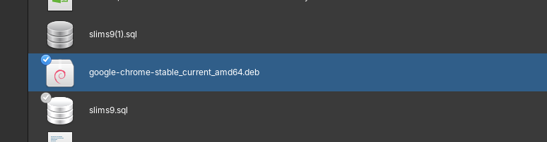 Contoh tampilan file .deb Google Chrome
