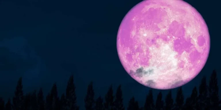 featured pink moon panduan lengkap mengamati purnama yang p