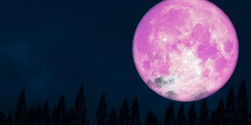 featured pink moon panduan lengkap mengamati purnama yang p