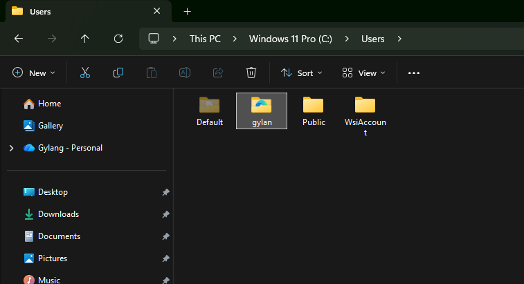 Contoh nama folder user Windows 11 default