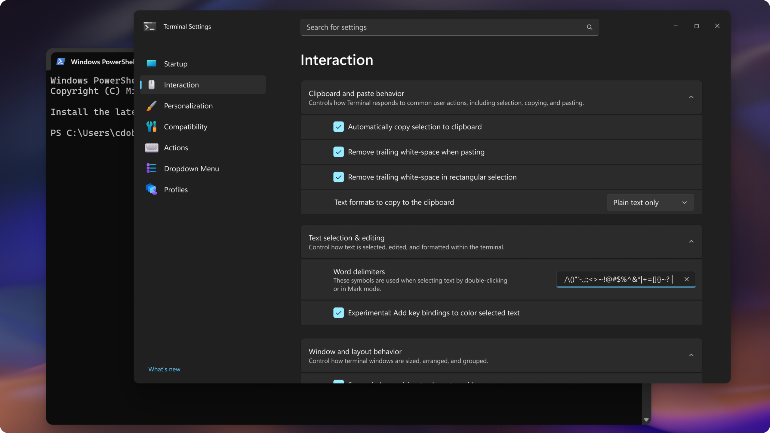 Detail kategori pengaturan Windows Terminal