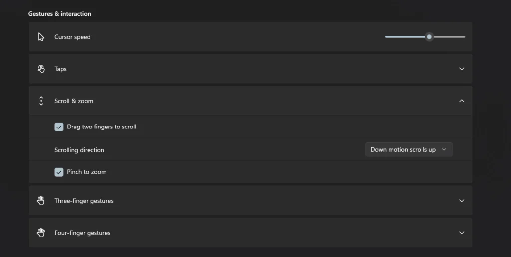 Halaman Pengaturan Feature Flags Windows 11